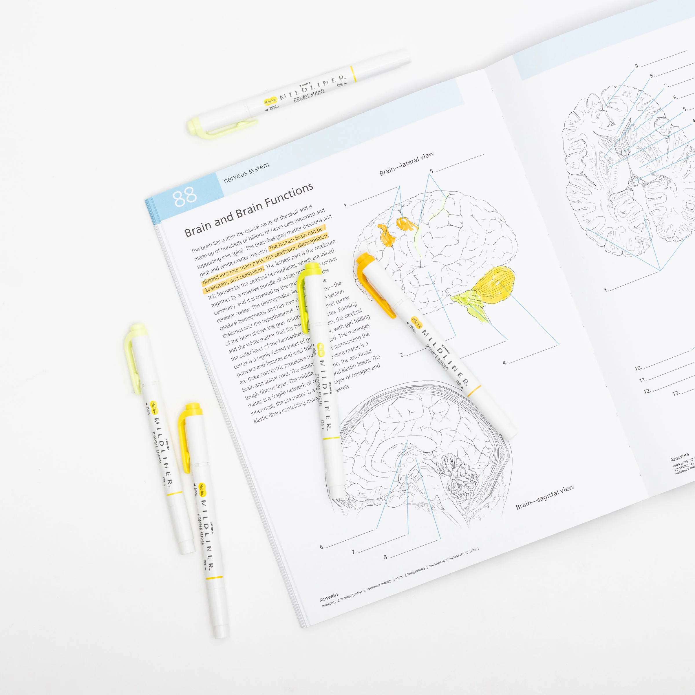MILDLINER Dual-Tip Creative Highlighter - Image 140