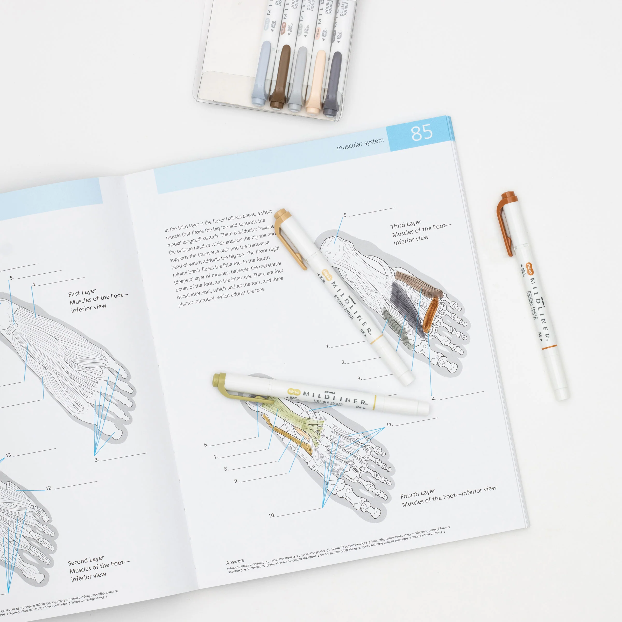 MILDLINER Dual-Tip Creative Highlighter - Image 87